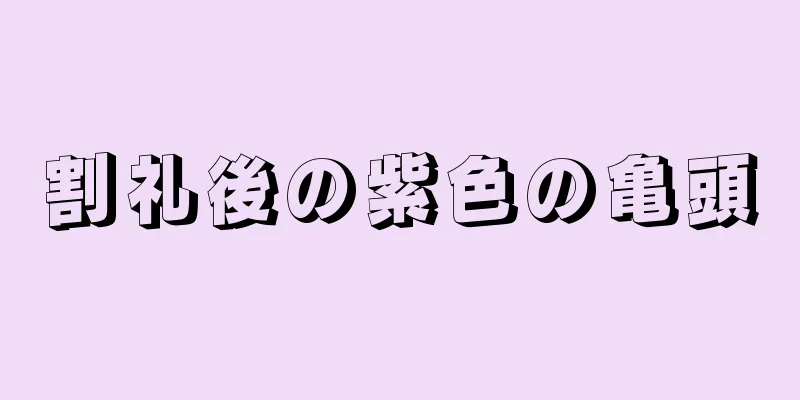 割礼後の紫色の亀頭