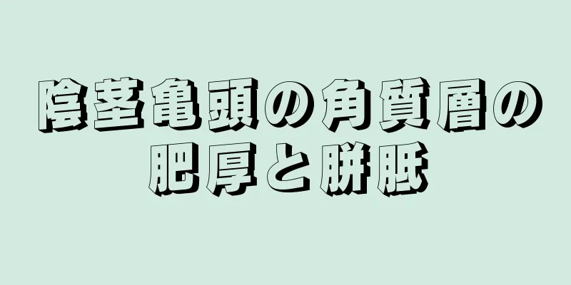 陰茎亀頭の角質層の肥厚と胼胝