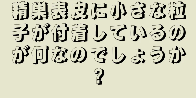 精巣表皮に小さな粒子が付着しているのが何なのでしょうか?
