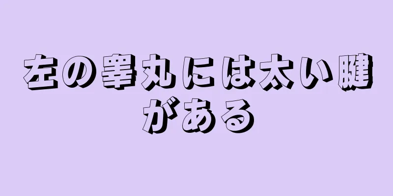 左の睾丸には太い腱がある