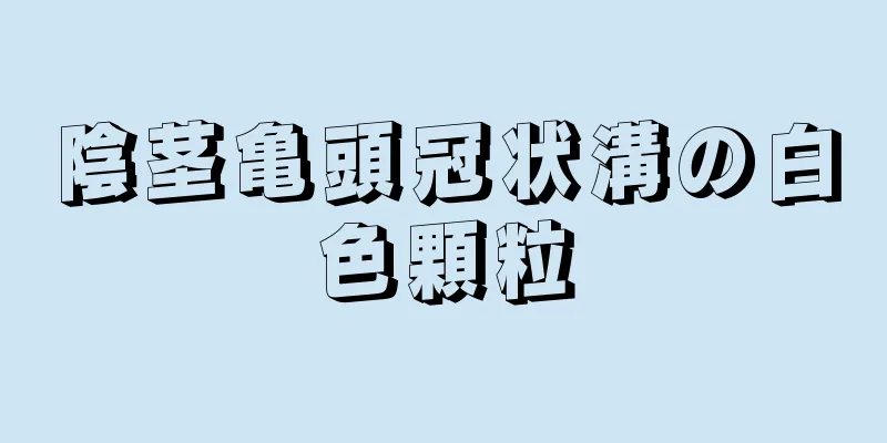 陰茎亀頭冠状溝の白色顆粒