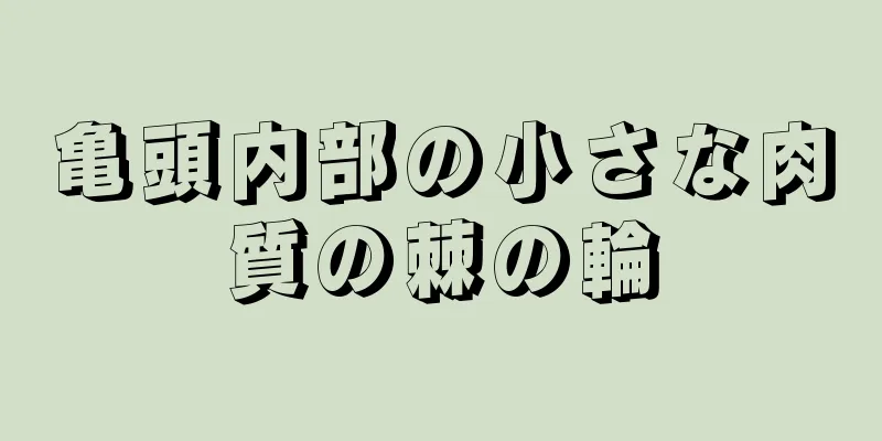 亀頭内部の小さな肉質の棘の輪