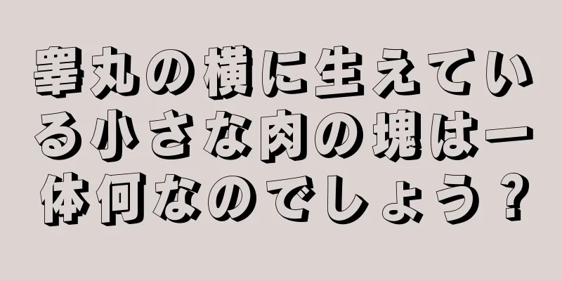 睾丸の横に生えている小さな肉の塊は一体何なのでしょう？