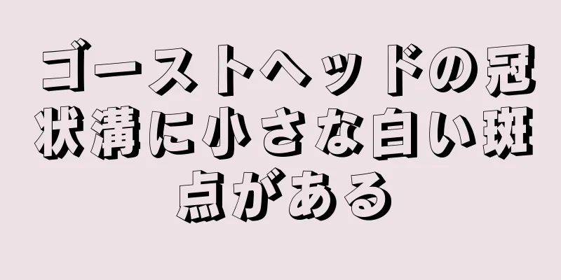 ゴーストヘッドの冠状溝に小さな白い斑点がある
