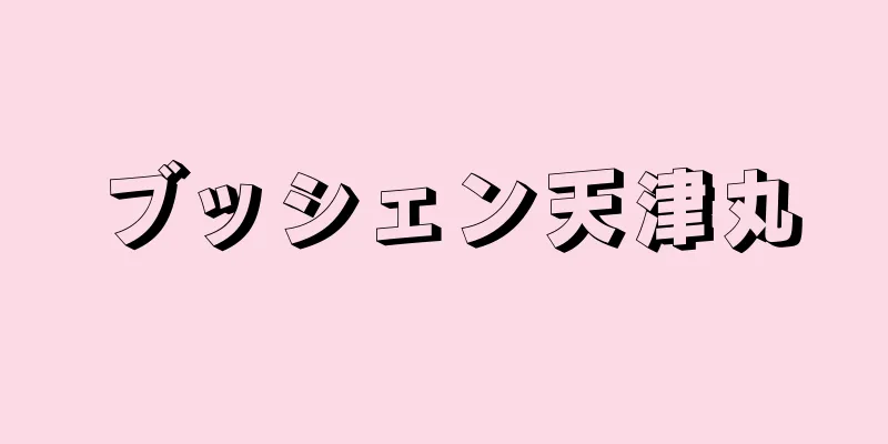 ブッシェン天津丸