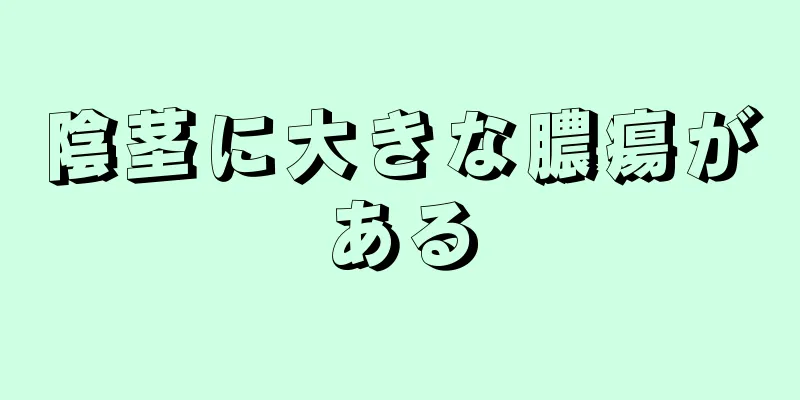 陰茎に大きな膿瘍がある