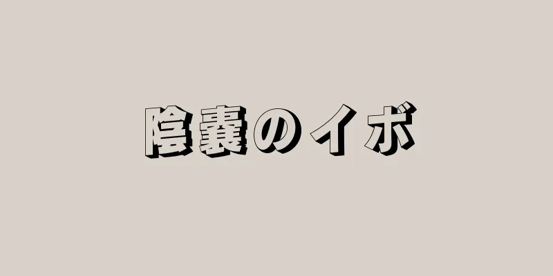 陰嚢のイボ