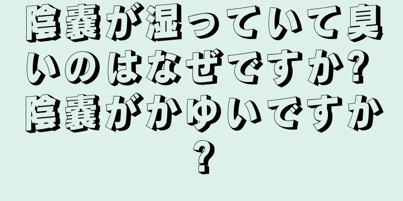 陰嚢が湿っていて臭いのはなぜですか? 陰嚢がかゆいですか?