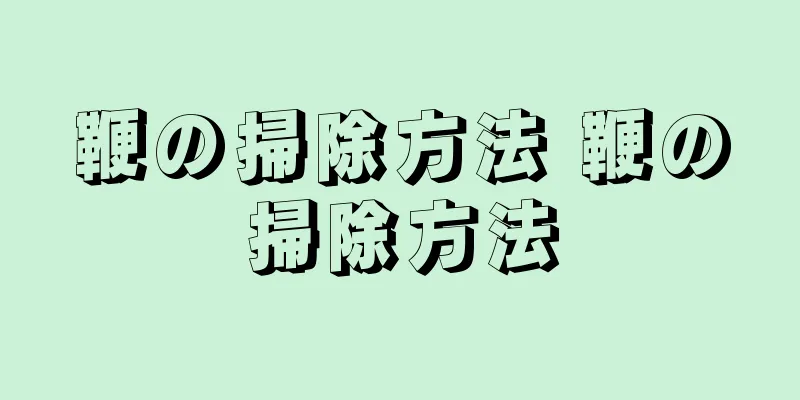 鞭の掃除方法 鞭の掃除方法