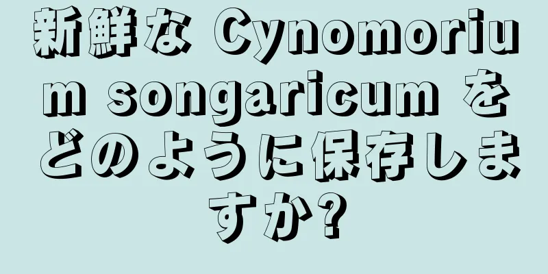 新鮮な Cynomorium songaricum をどのように保存しますか?