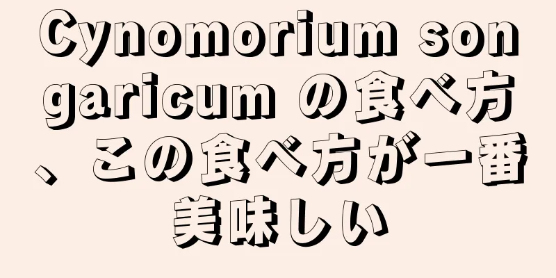 Cynomorium songaricum の食べ方、この食べ方が一番美味しい