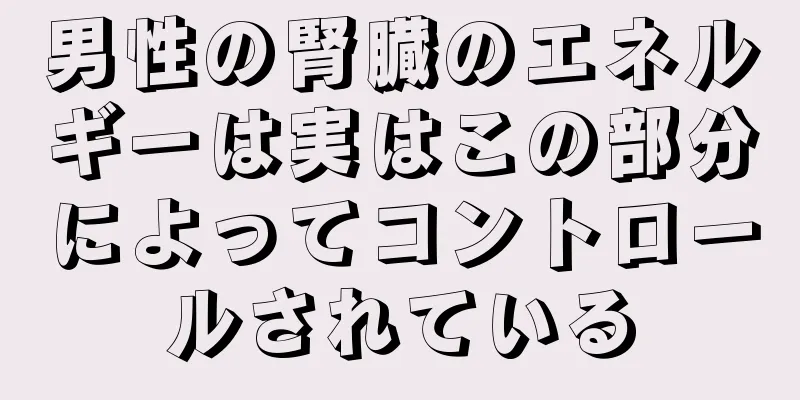 男性の腎臓のエネルギーは実はこの部分によってコントロールされている
