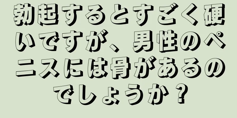 勃起するとすごく硬いですが、男性のペニスには骨があるのでしょうか？