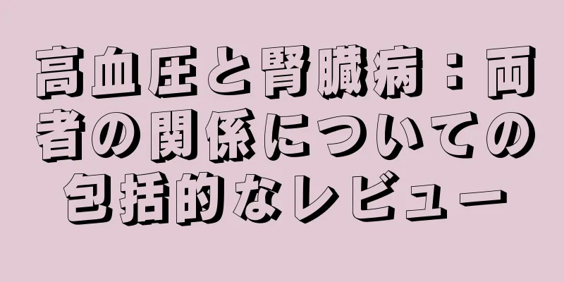 高血圧と腎臓病：両者の関係についての包括的なレビュー