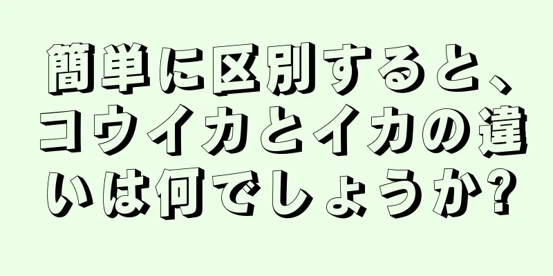 簡単に区別すると、コウイカとイカの違いは何でしょうか?