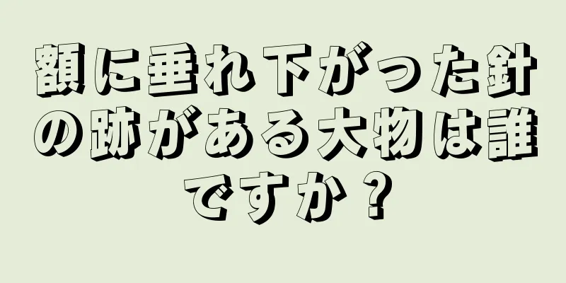 額に垂れ下がった針の跡がある大物は誰ですか？