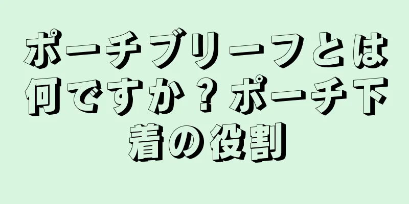 ポーチブリーフとは何ですか？ポーチ下着の役割