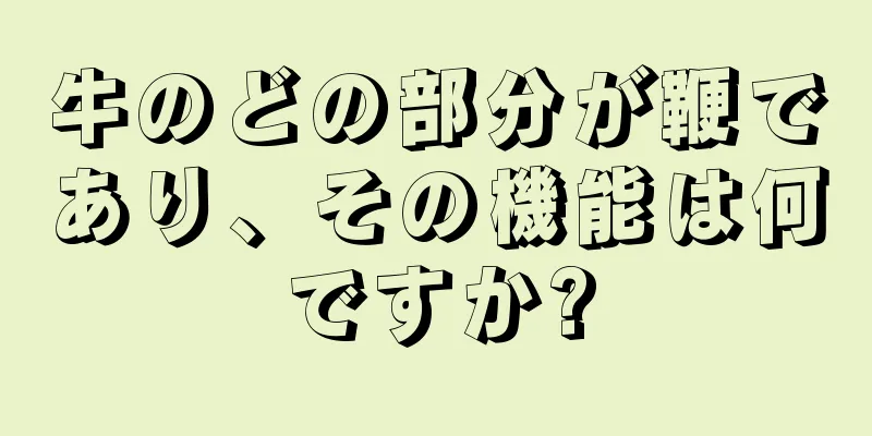 牛のどの部分が鞭であり、その機能は何ですか?