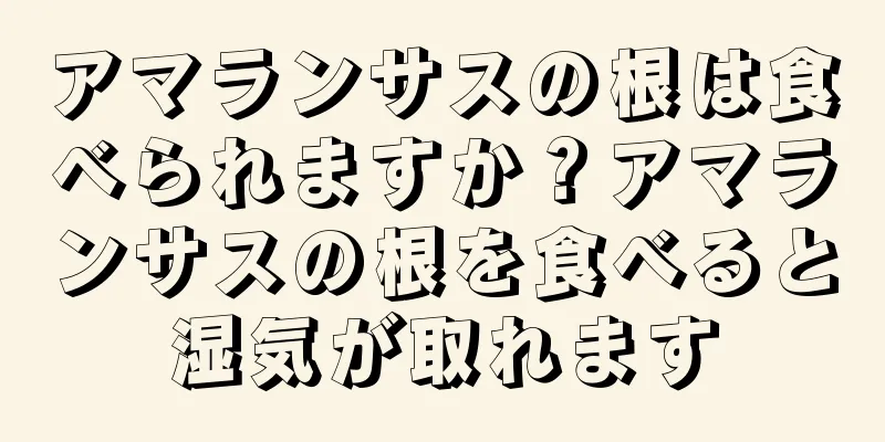 アマランサスの根は食べられますか？アマランサスの根を食べると湿気が取れます
