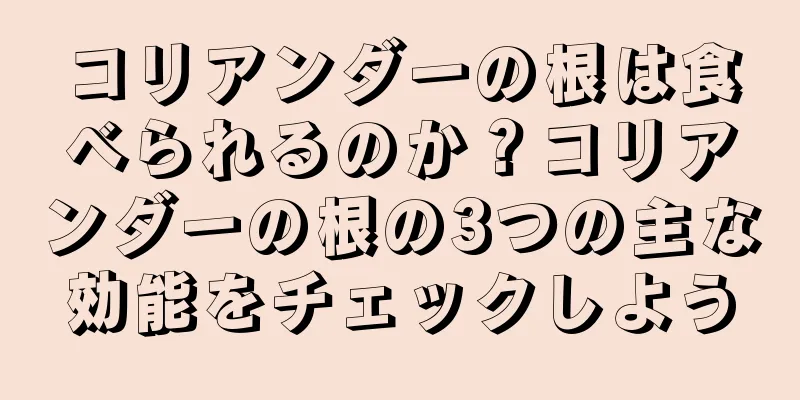 コリアンダーの根は食べられるのか？コリアンダーの根の3つの主な効能をチェックしよう