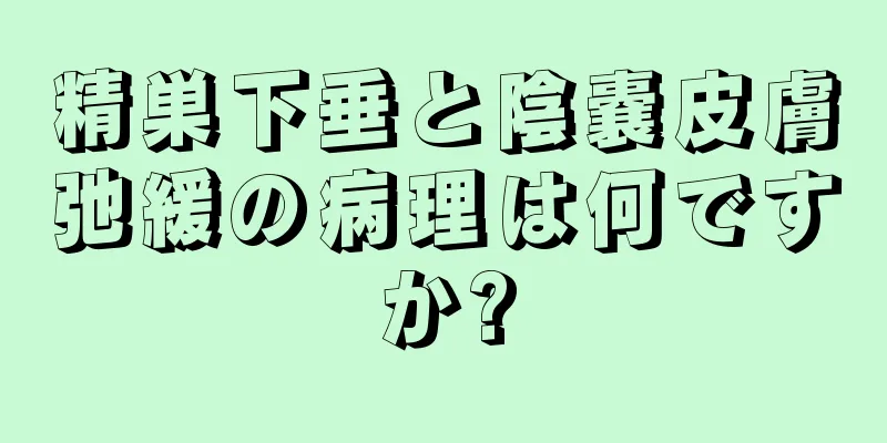 精巣下垂と陰嚢皮膚弛緩の病理は何ですか?