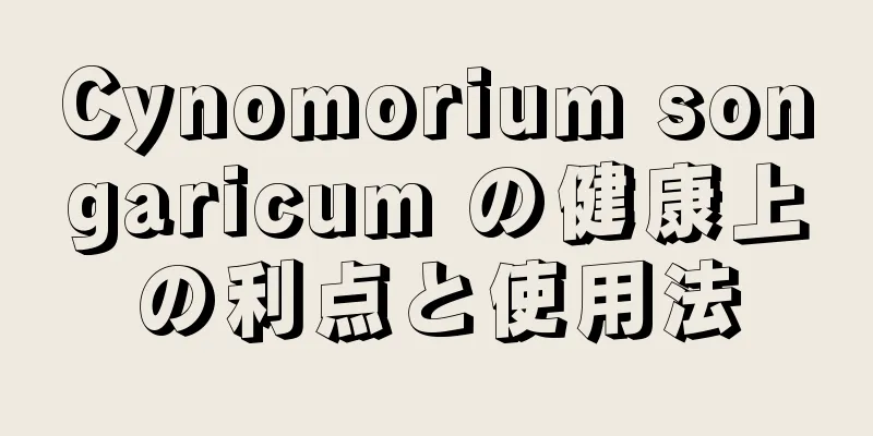 Cynomorium songaricum の健康上の利点と使用法