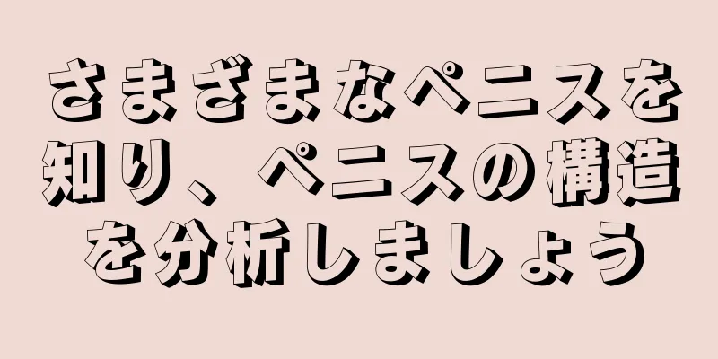 さまざまなペニスを知り、ペニスの構造を分析しましょう
