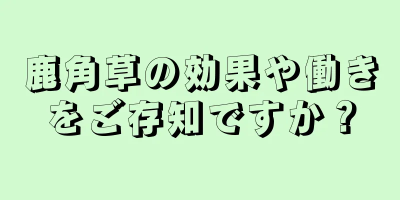 鹿角草の効果や働きをご存知ですか？