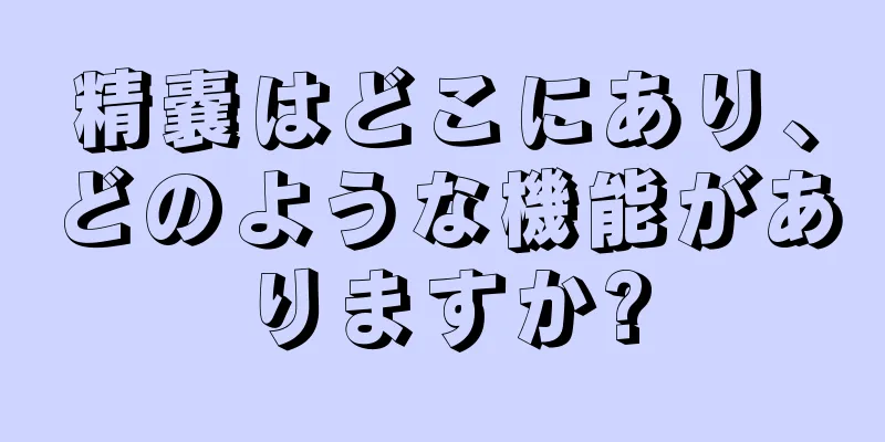 精嚢はどこにあり、どのような機能がありますか?