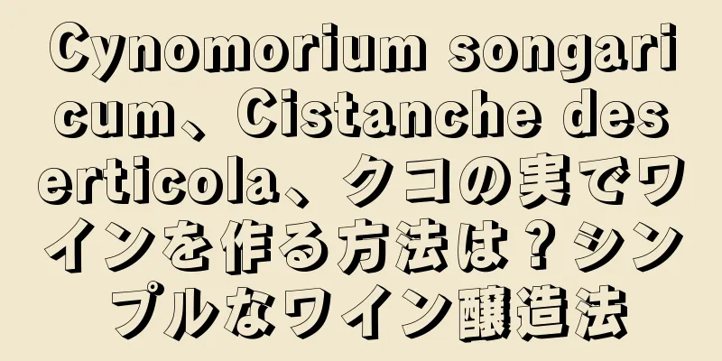 Cynomorium songaricum、Cistanche deserticola、クコの実でワインを作る方法は？シンプルなワイン醸造法