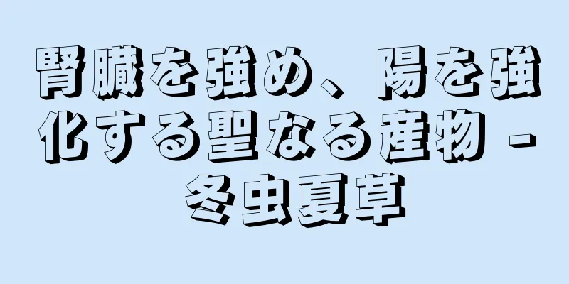 腎臓を強め、陽を強化する聖なる産物 - 冬虫夏草