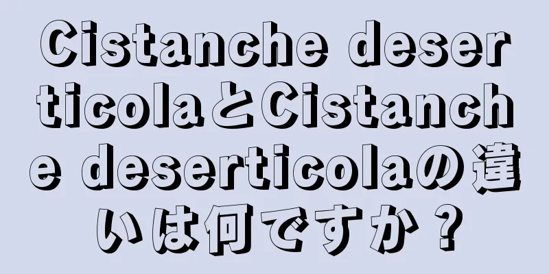 Cistanche deserticolaとCistanche deserticolaの違いは何ですか？