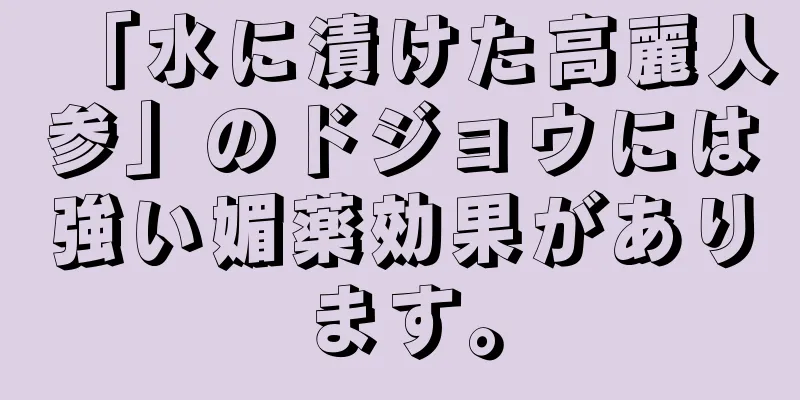 「水に漬けた高麗人参」のドジョウには強い媚薬効果があります。