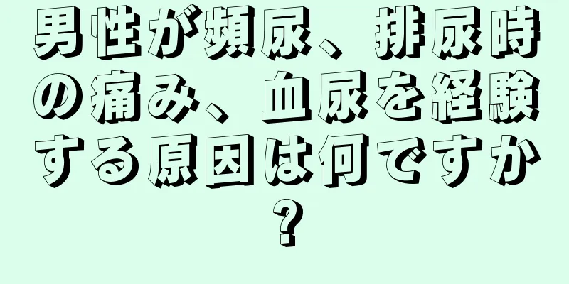 男性が頻尿、排尿時の痛み、血尿を経験する原因は何ですか?