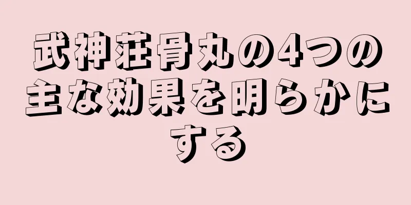 武神荘骨丸の4つの主な効果を明らかにする