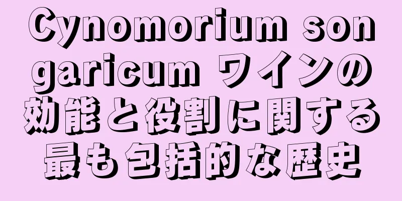 Cynomorium songaricum ワインの効能と役割に関する最も包括的な歴史