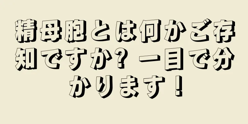 精母胞とは何かご存知ですか? 一目で分かります！