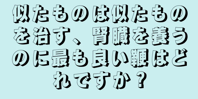 似たものは似たものを治す、腎臓を養うのに最も良い鞭はどれですか？