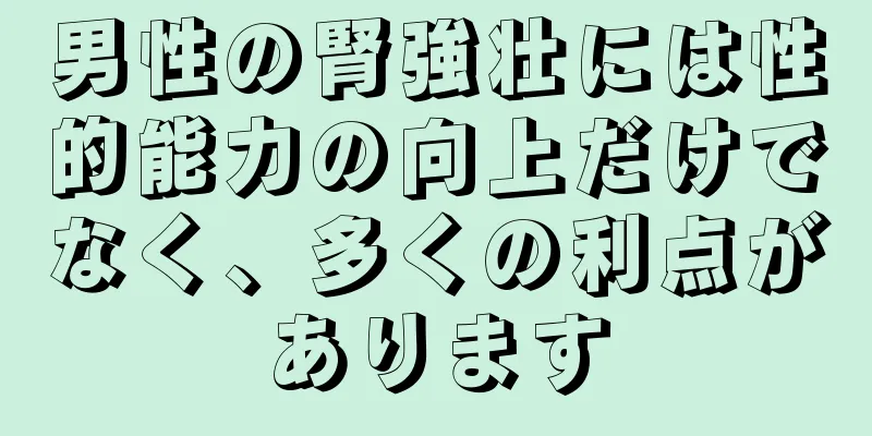 男性の腎強壮には性的能力の向上だけでなく、多くの利点があります