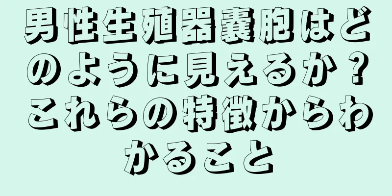男性生殖器嚢胞はどのように見えるか？これらの特徴からわかること