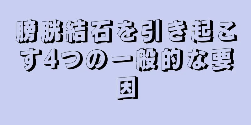 膀胱結石を引き起こす4つの一般的な要因