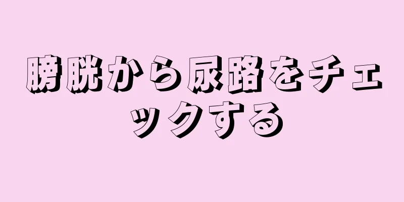 膀胱から尿路をチェックする