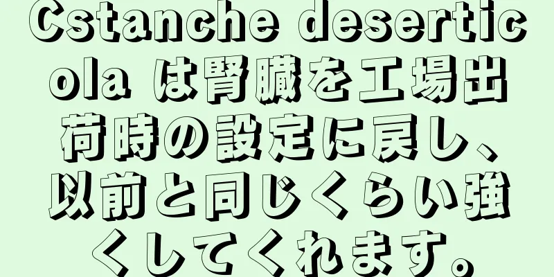 Cstanche deserticola は腎臓を工場出荷時の設定に戻し、以前と同じくらい強くしてくれます。