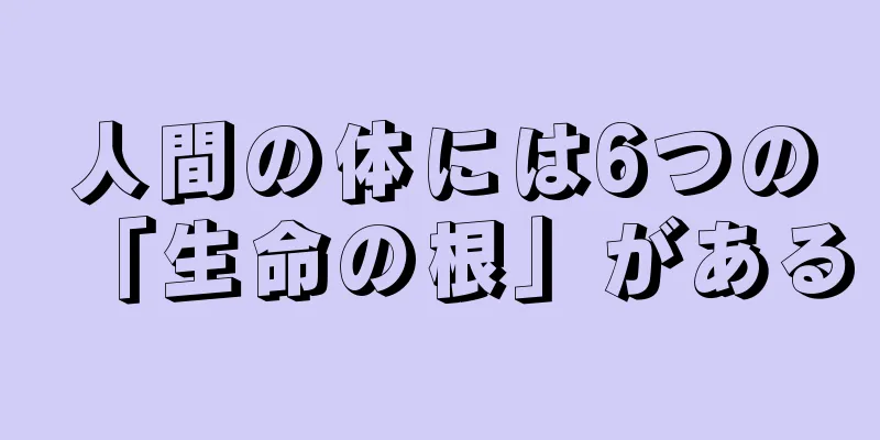 人間の体には6つの「生命の根」がある