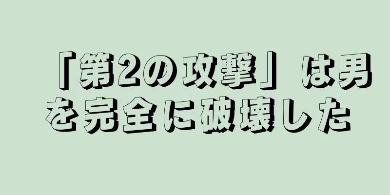 「第2の攻撃」は男を完全に破壊した