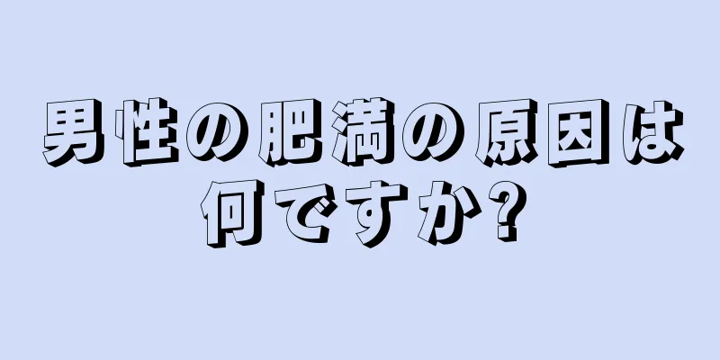 男性の肥満の原因は何ですか?
