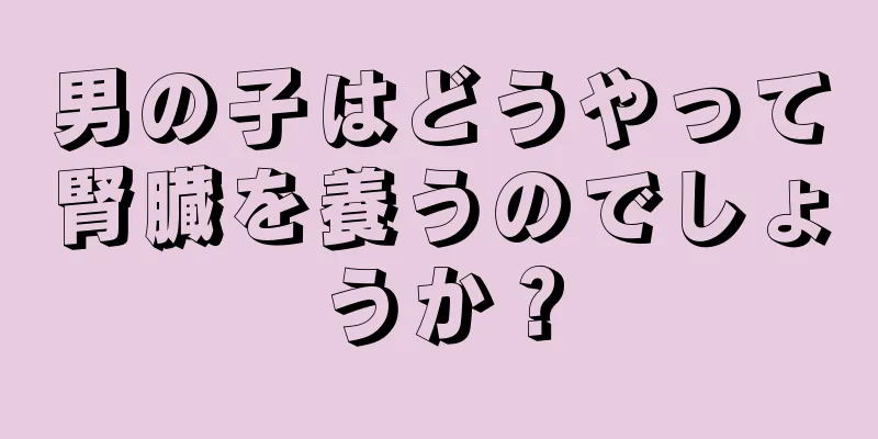 男の子はどうやって腎臓を養うのでしょうか？