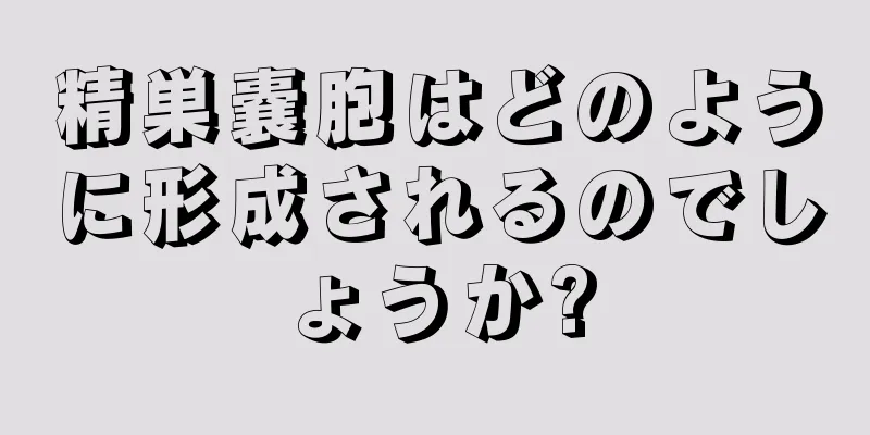 精巣嚢胞はどのように形成されるのでしょうか?