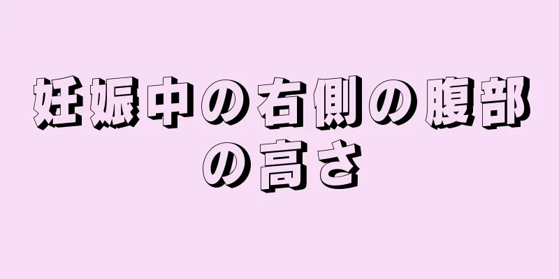 妊娠中の右側の腹部の高さ
