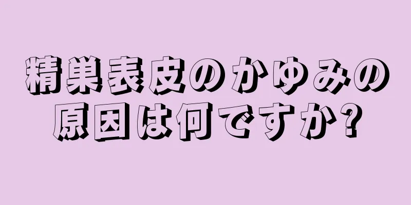 精巣表皮のかゆみの原因は何ですか?